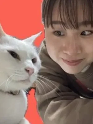 山本明菜